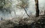 20 هکتار از مراتع کوهستانی بلده نور، دچار حریق شد 20 هکتار از مراتع کوهستانی بلده نور، دچار حریق شد